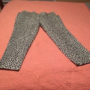 Animal print pants